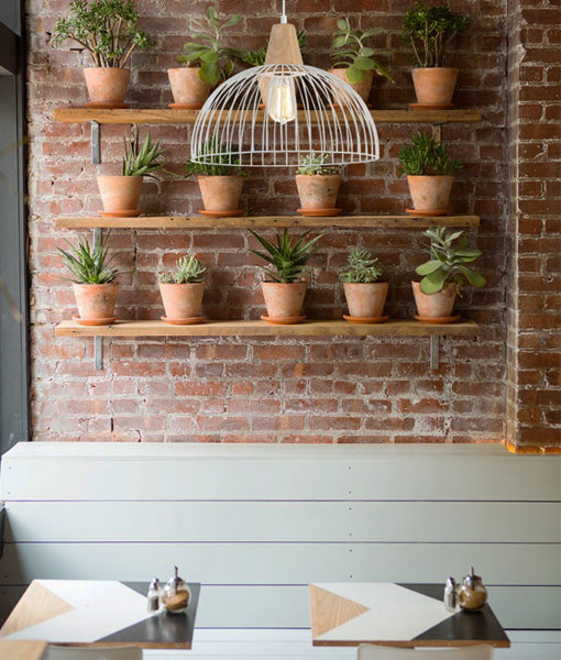 STRAND: Iron and Wood Dome Cage Pendant Lights