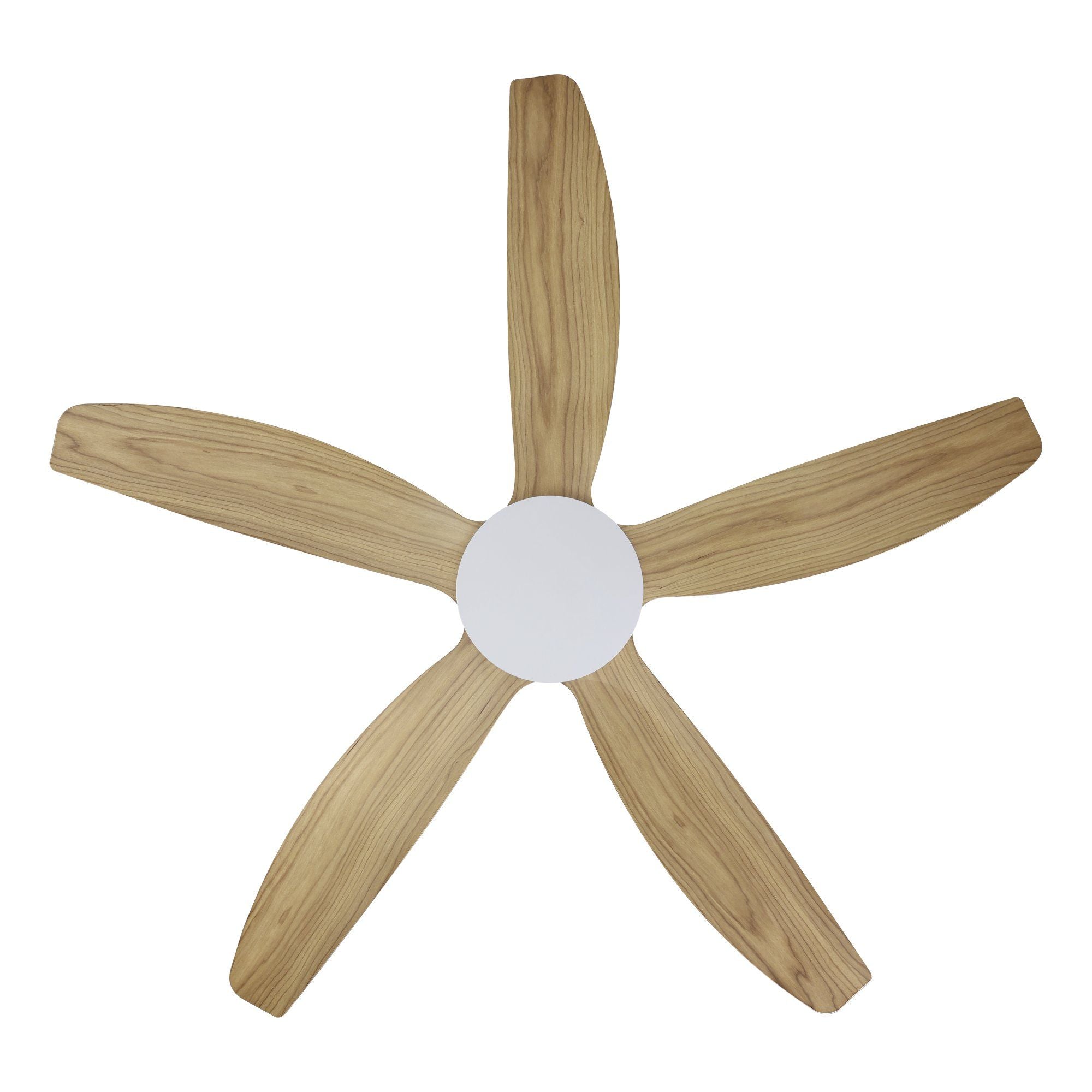 MIAMI DC Ceiling Fan
