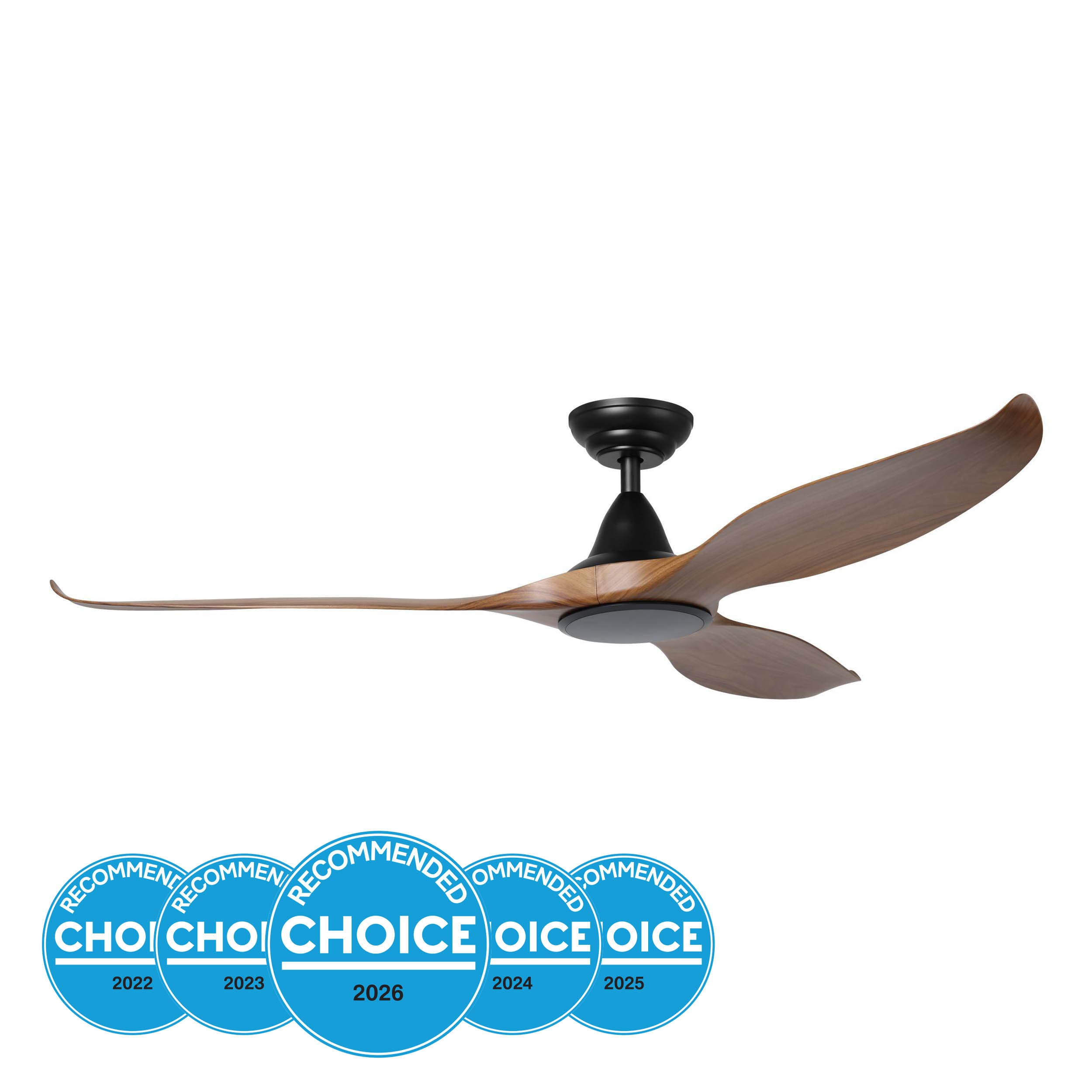 NOOSA DC Ceiling Fan