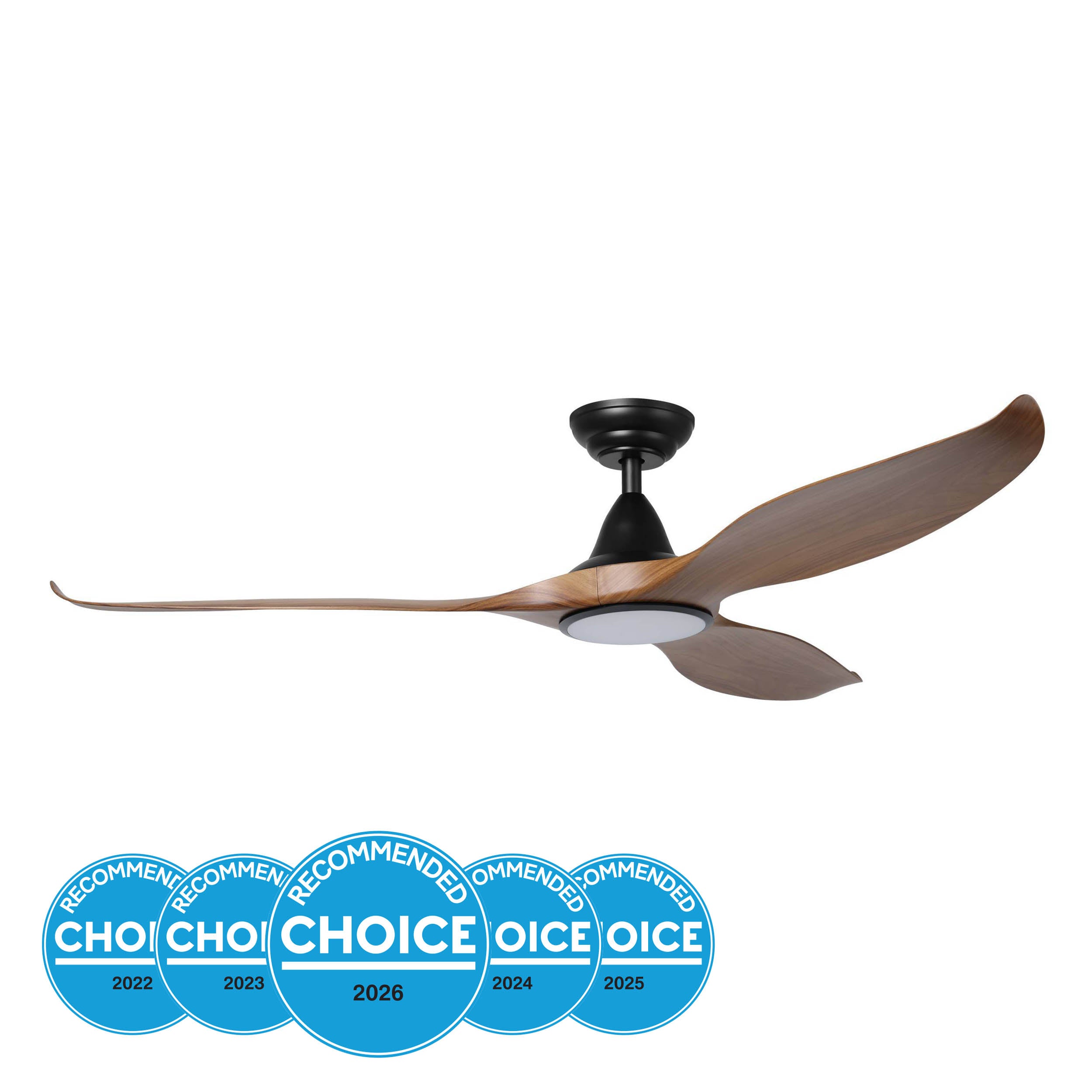 NOOSA DC Ceiling Fan