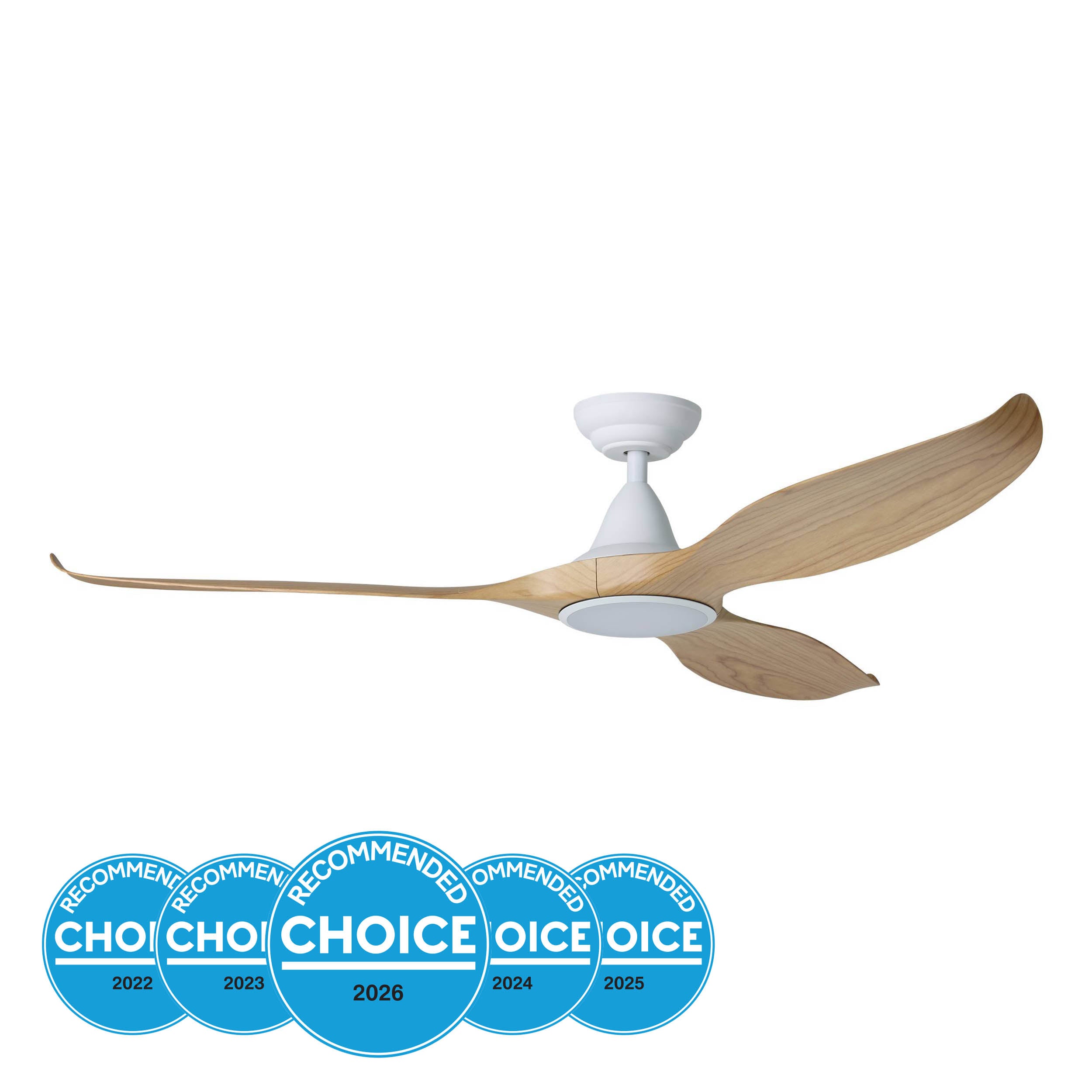 NOOSA DC Ceiling Fan