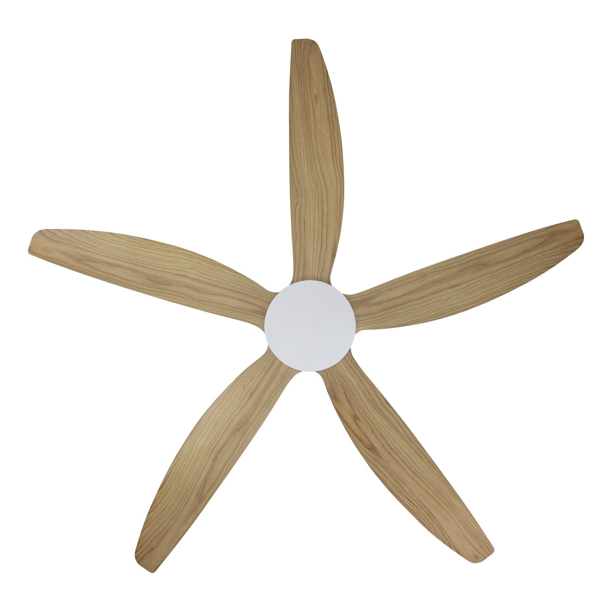MIAMI DC Ceiling Fan