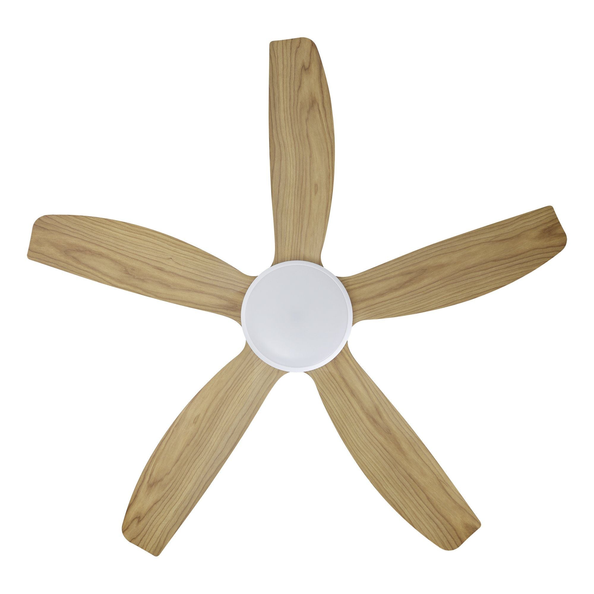 MIAMI DC Ceiling Fan