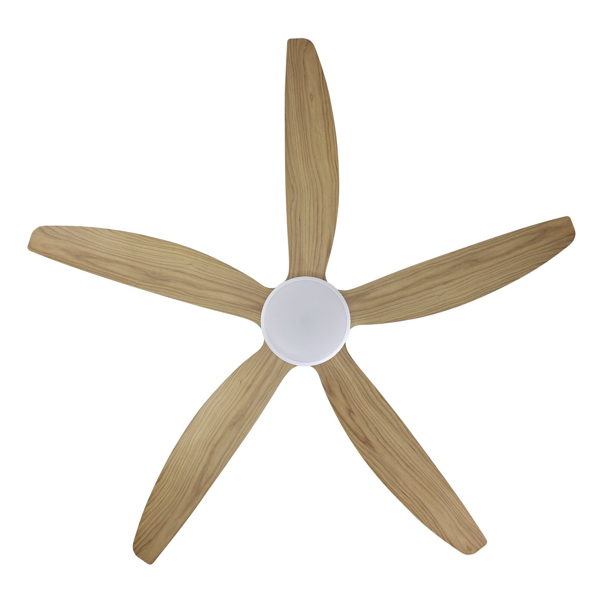 MIAMI DC Ceiling Fan
