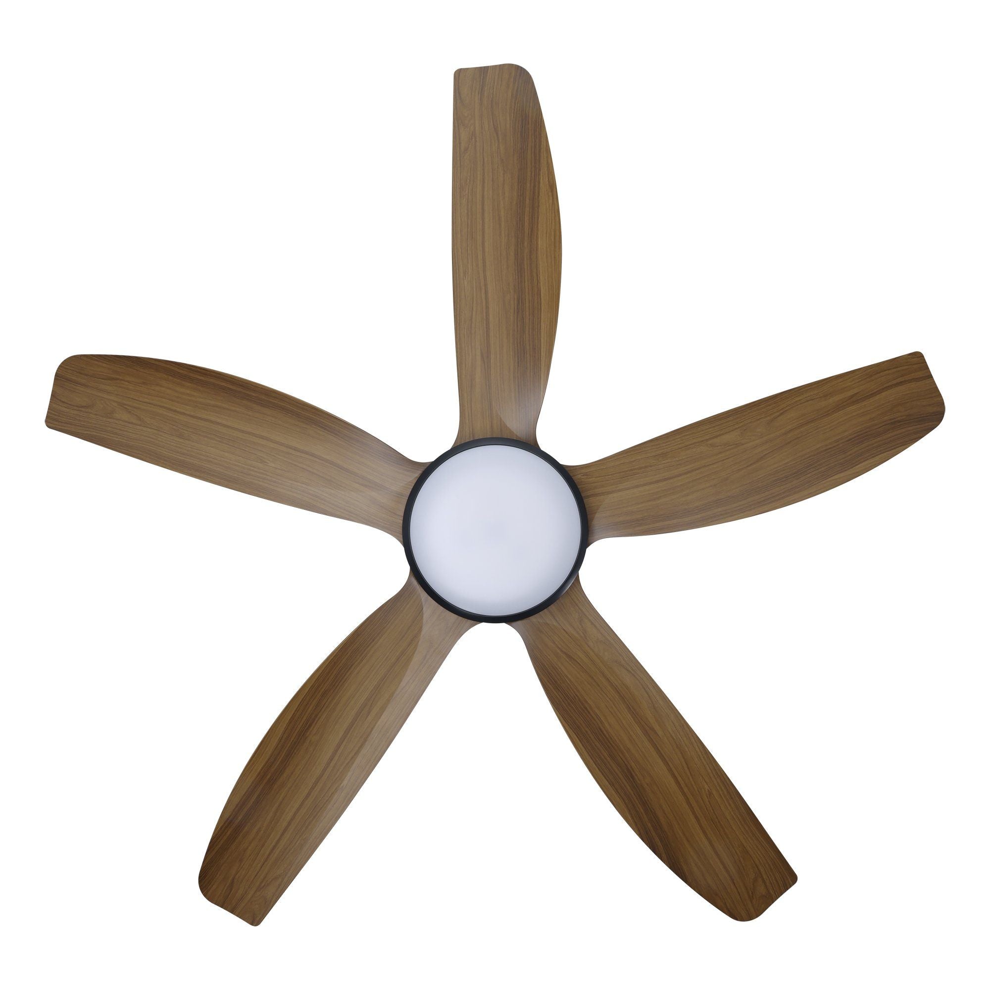 MIAMI DC Ceiling Fan