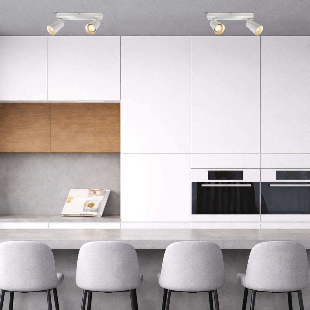 ALVEY 2 LIGHT CEILING SPOTLIGHT