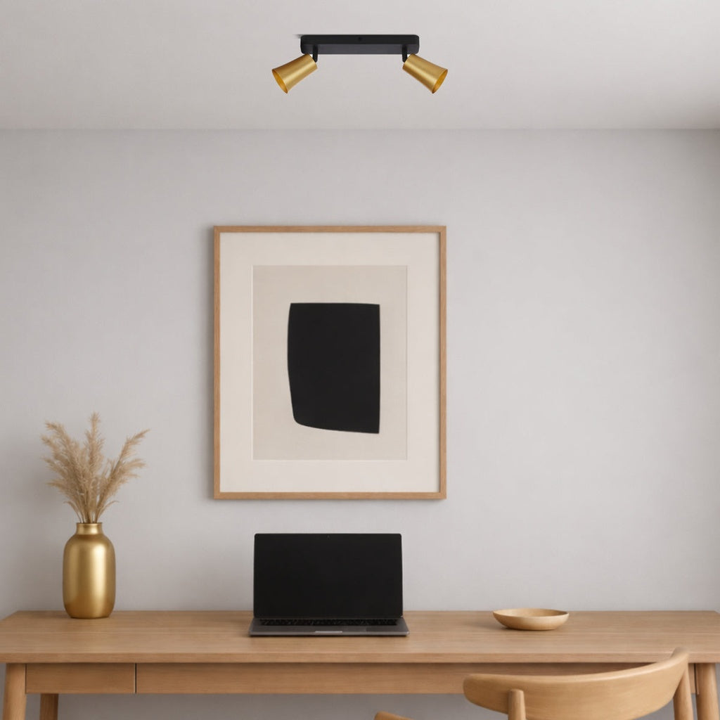 ALVEY 2 LIGHT CEILING SPOTLIGHT