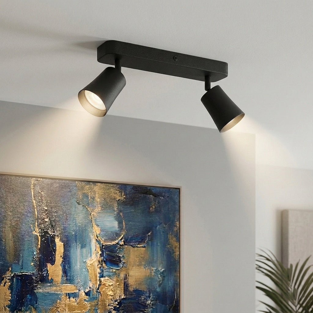 ALVEY 2 LIGHT CEILING SPOTLIGHT