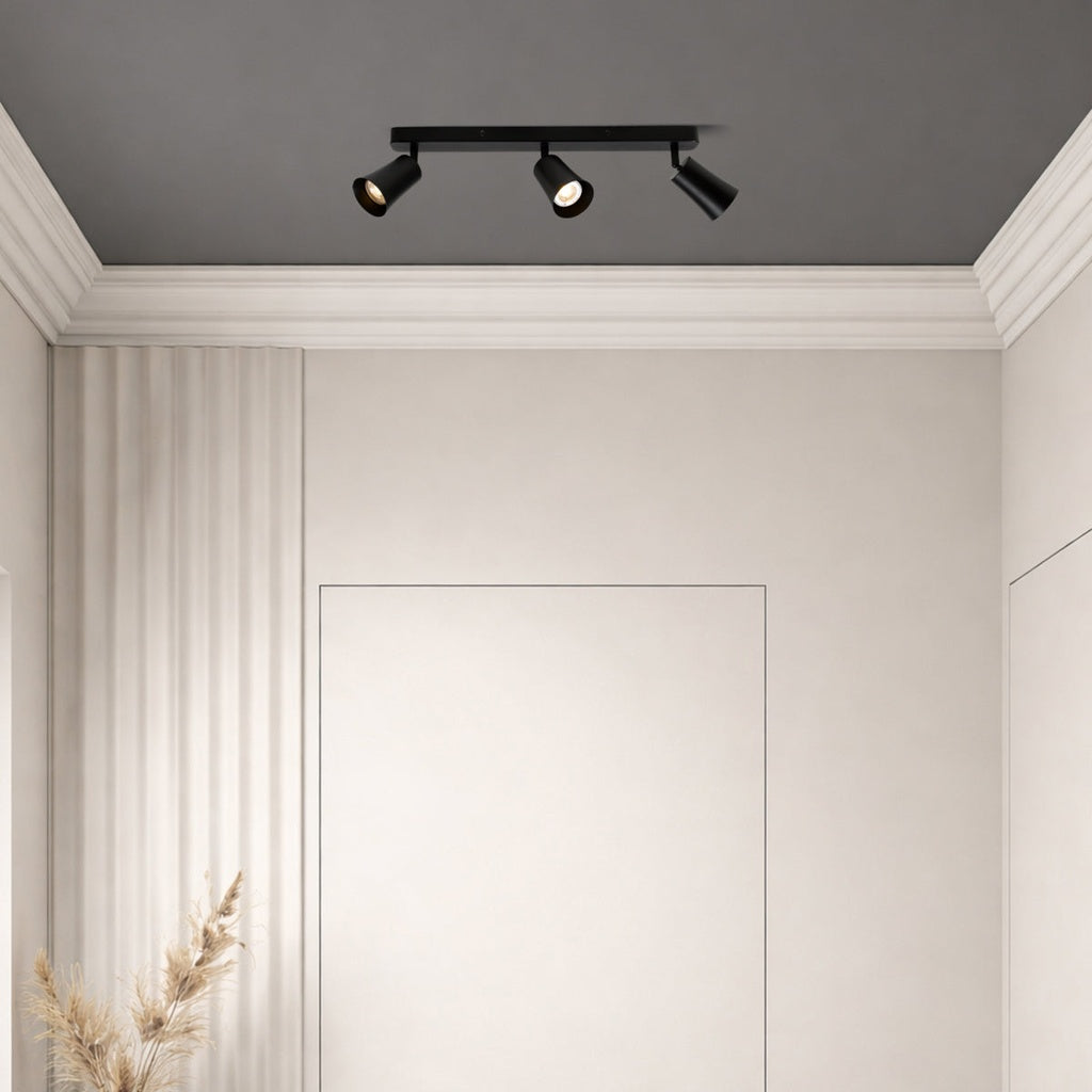 ALVEY 3 LIGHT CEILING SPOTLIGHT