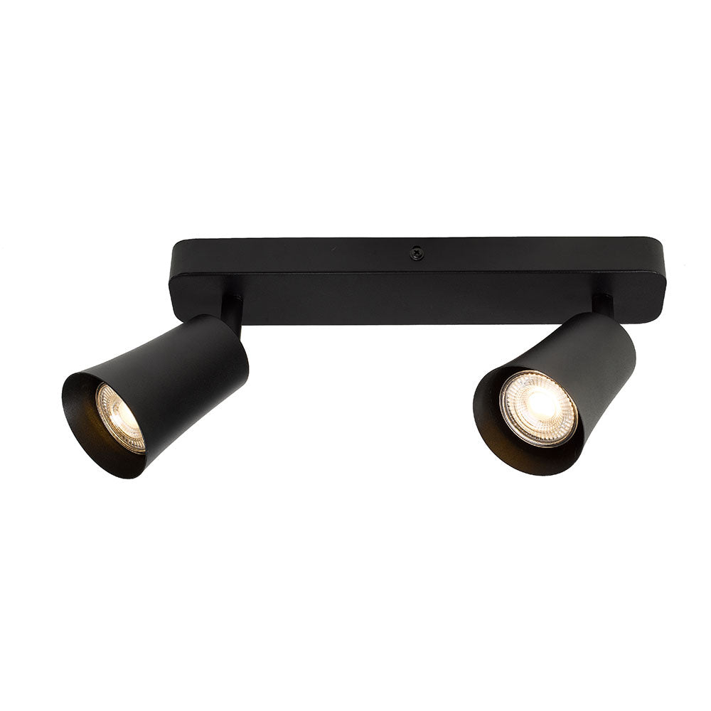 ALVEY 2 LIGHT CEILING SPOTLIGHT