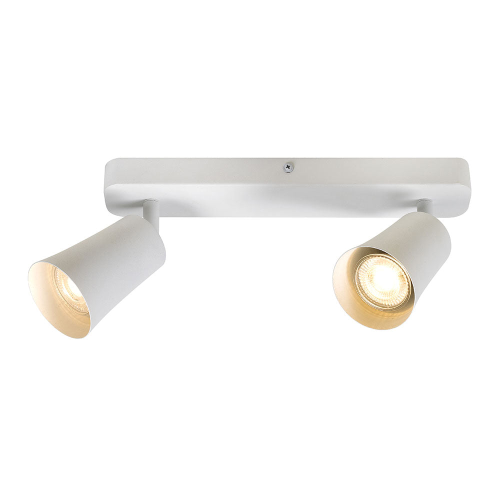 ALVEY 2 LIGHT CEILING SPOTLIGHT