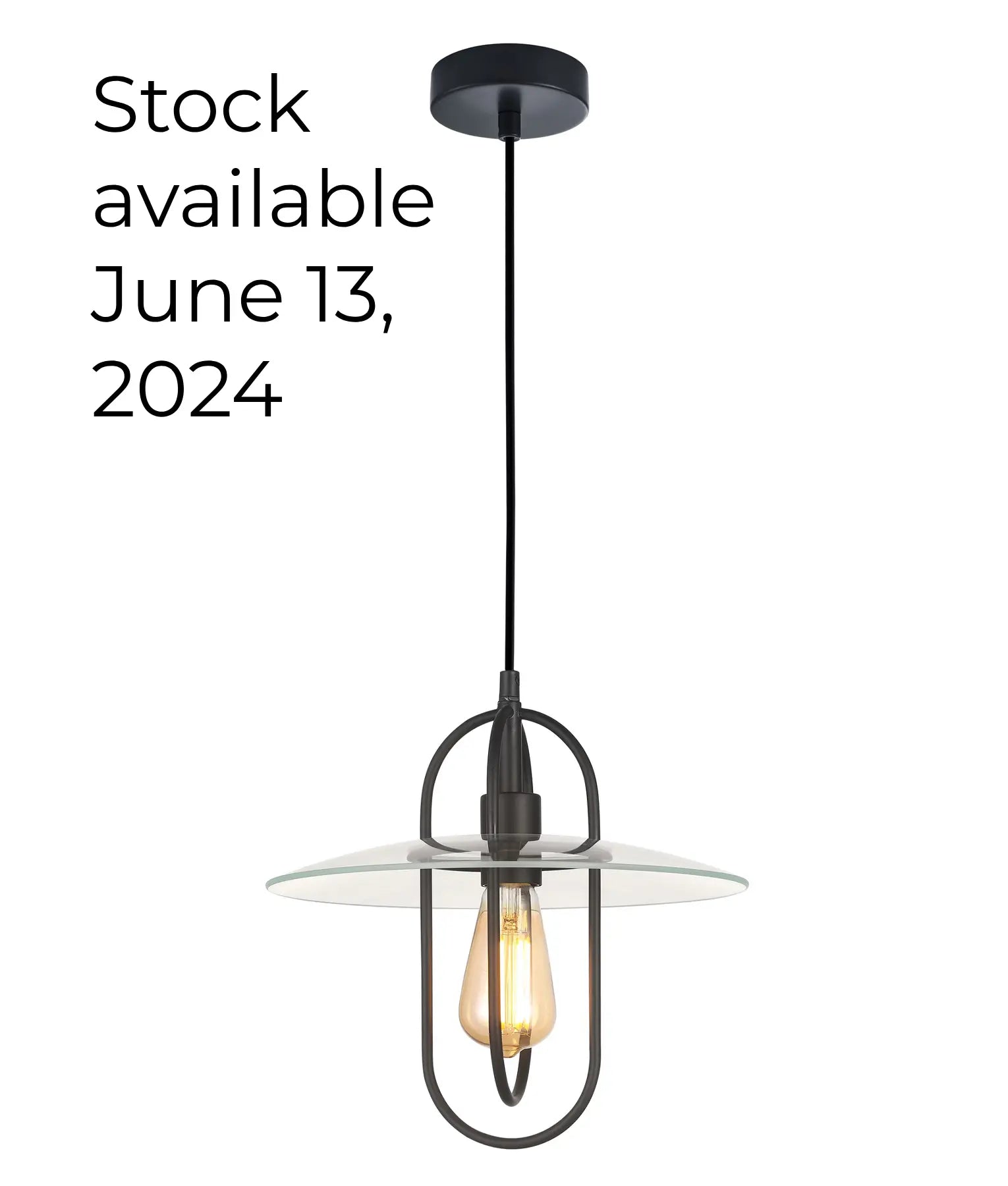 PAPILLON Pendant Light, One Light Glass Iron Shade (Matt Black Clear Glass)