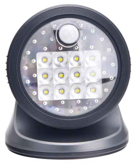 12 LED Indoor & Outdoor Motion Sensor Light