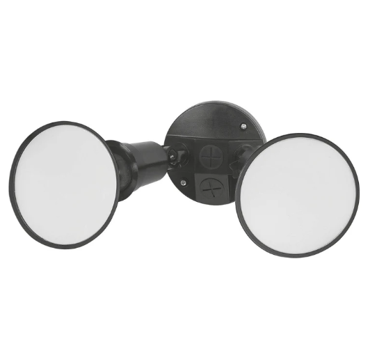Sanders 2Lt PAR38 LED Flood Light