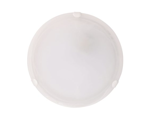 REMO Alabaster Glass Oyster Ceiling Light