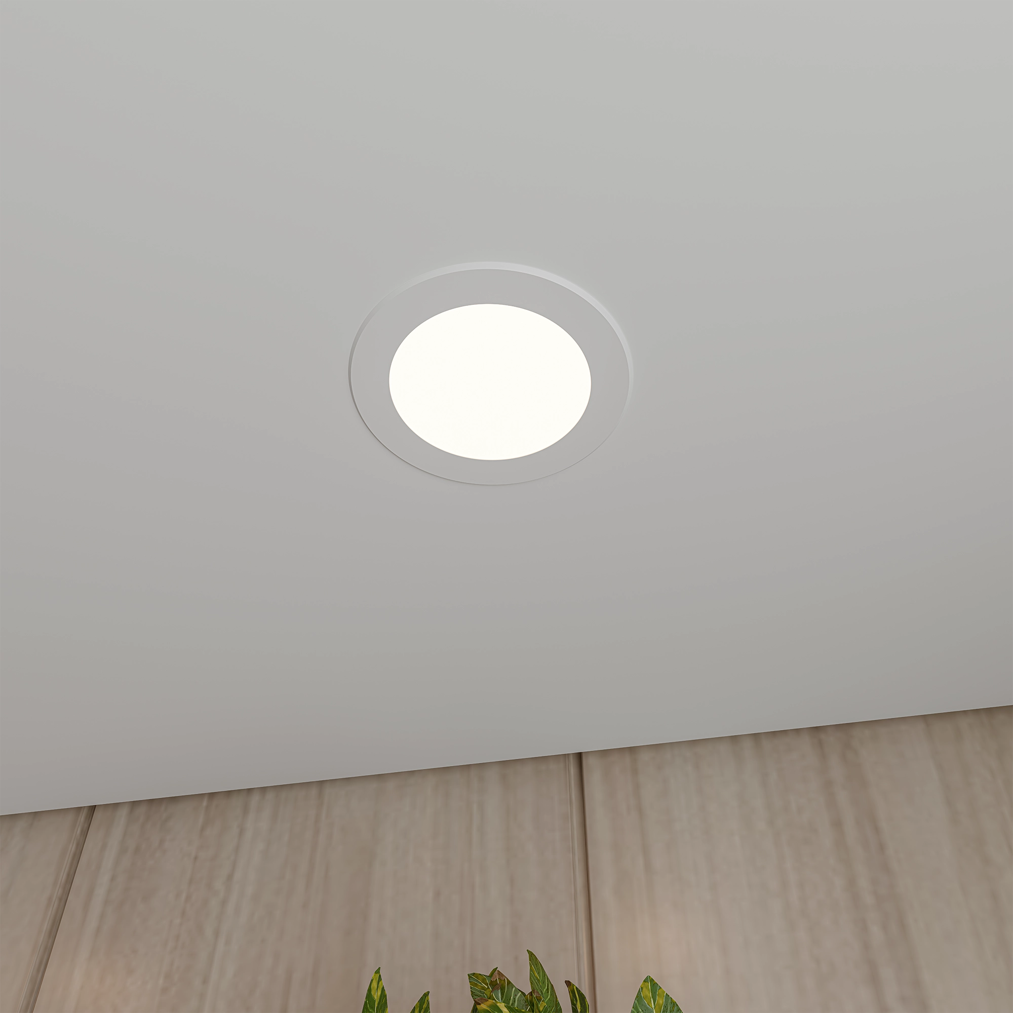 FINCH Modern LED Downlight